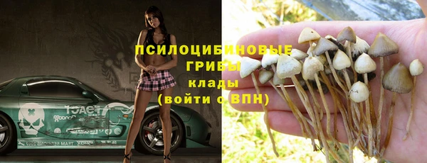 мескалин Елизово